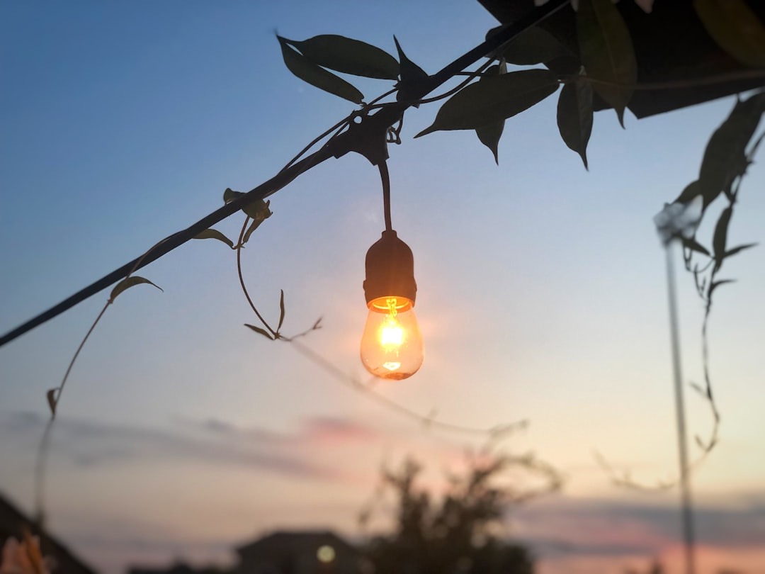 Solar-powered outdoor lights