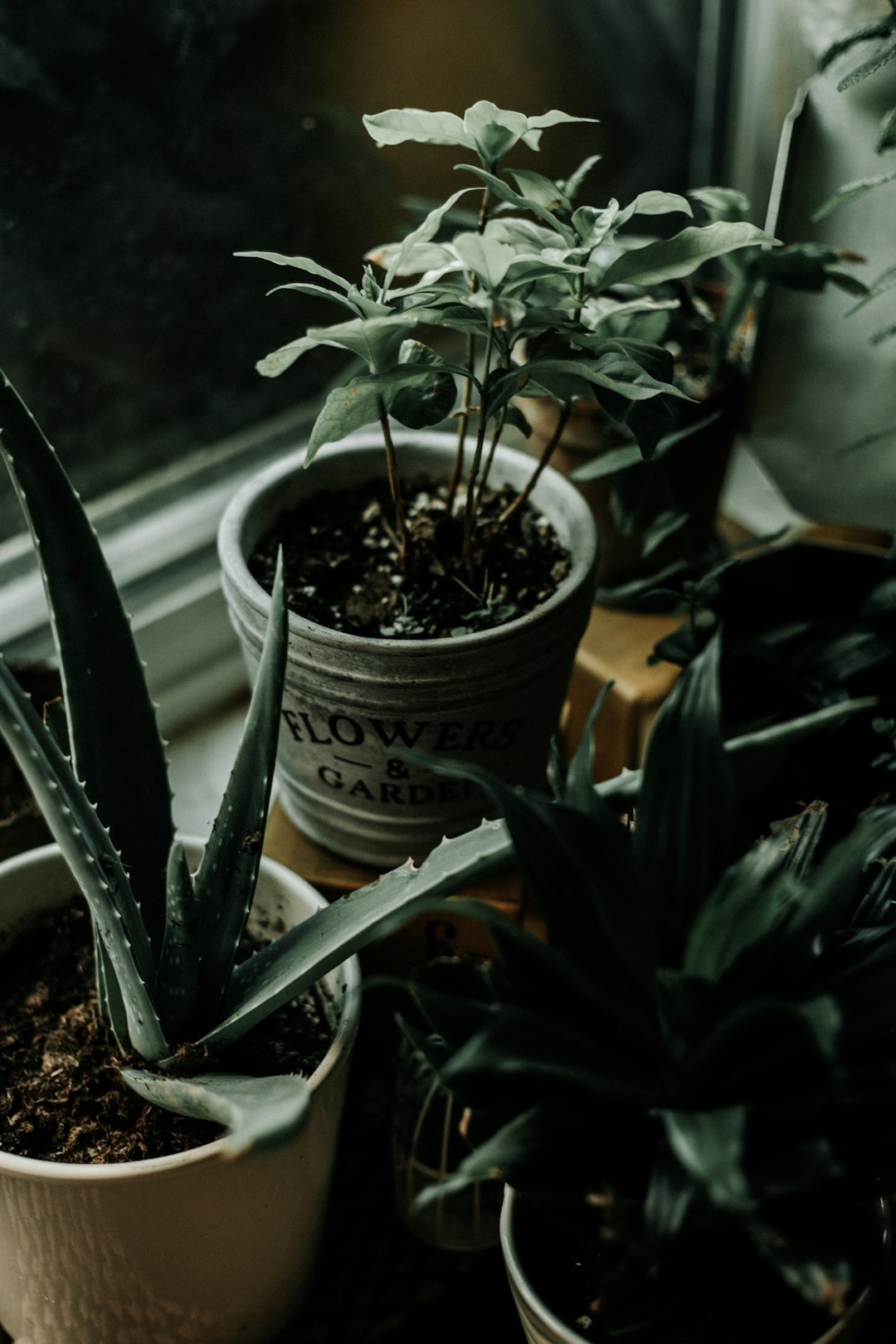 indoor composting