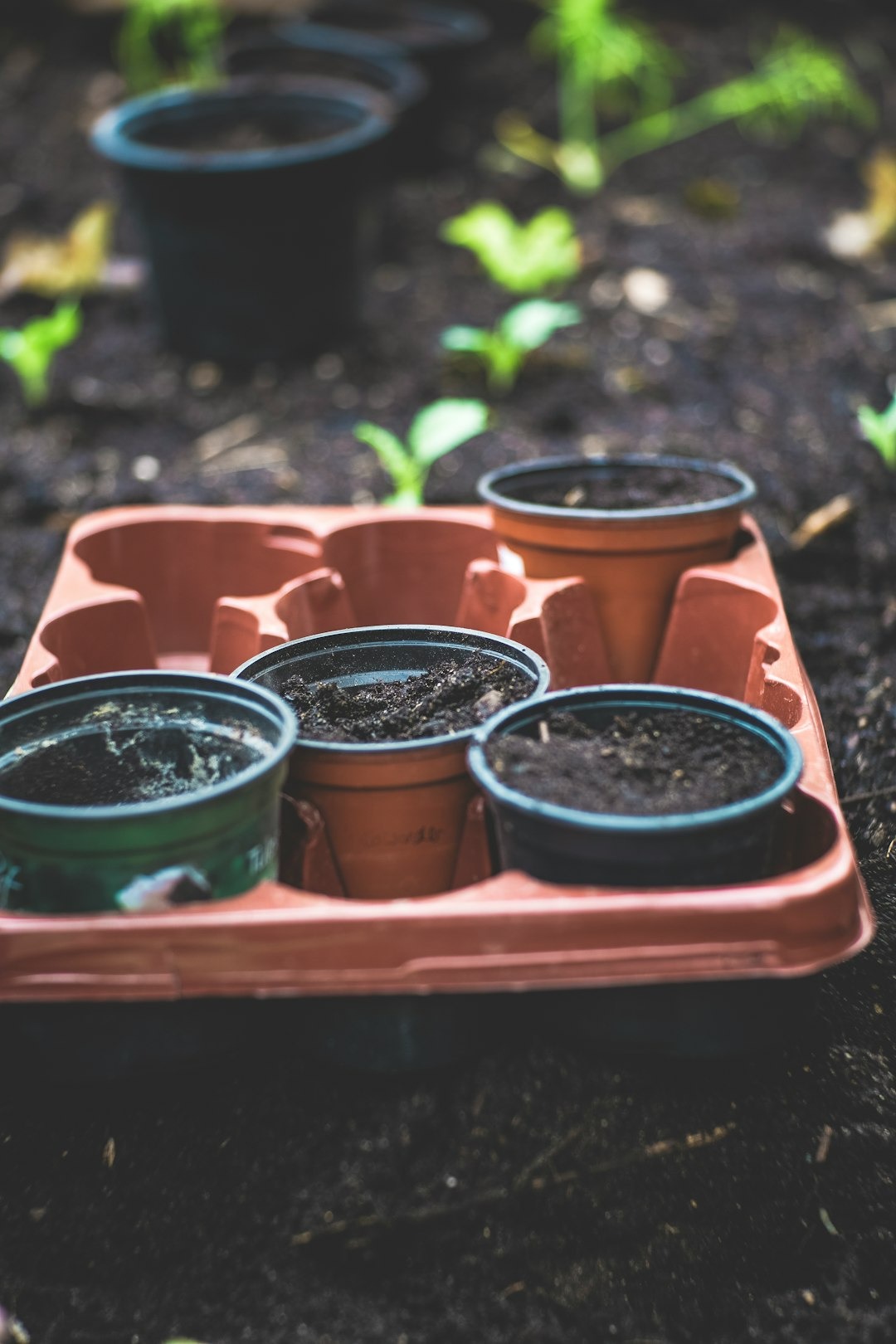 Use Composting to Reduce Organic Waste