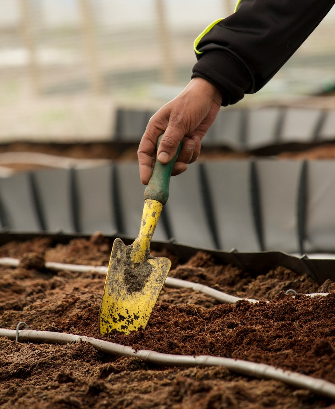 Create a Compost System