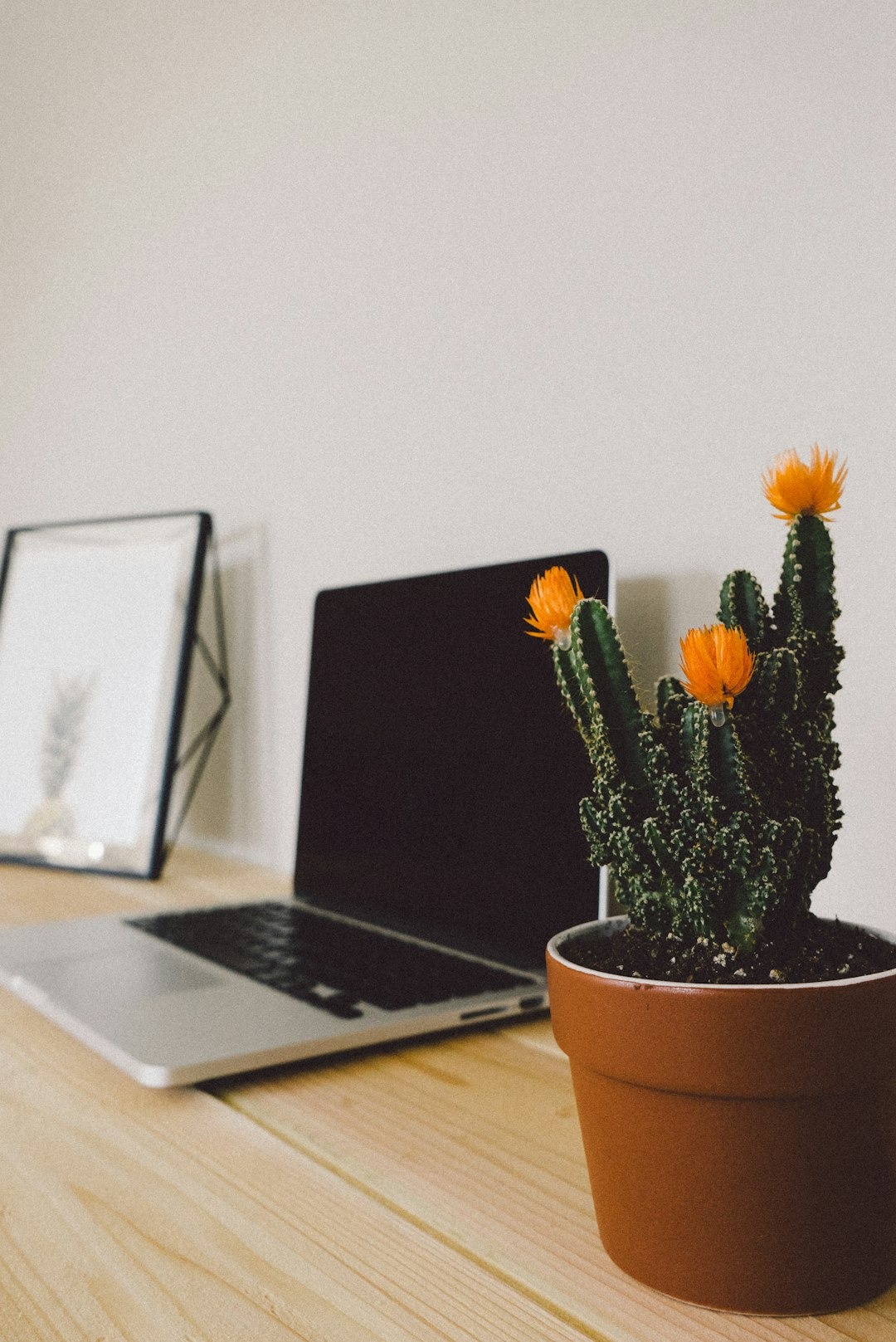 Add Plants to Your Workspace